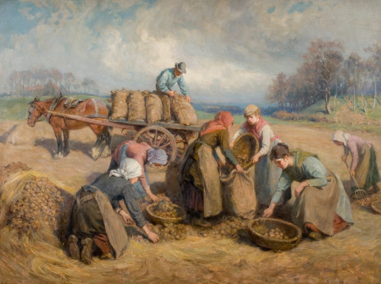 Raccoglitori di patate, Northumberland, 1903 da Ralph Hedley