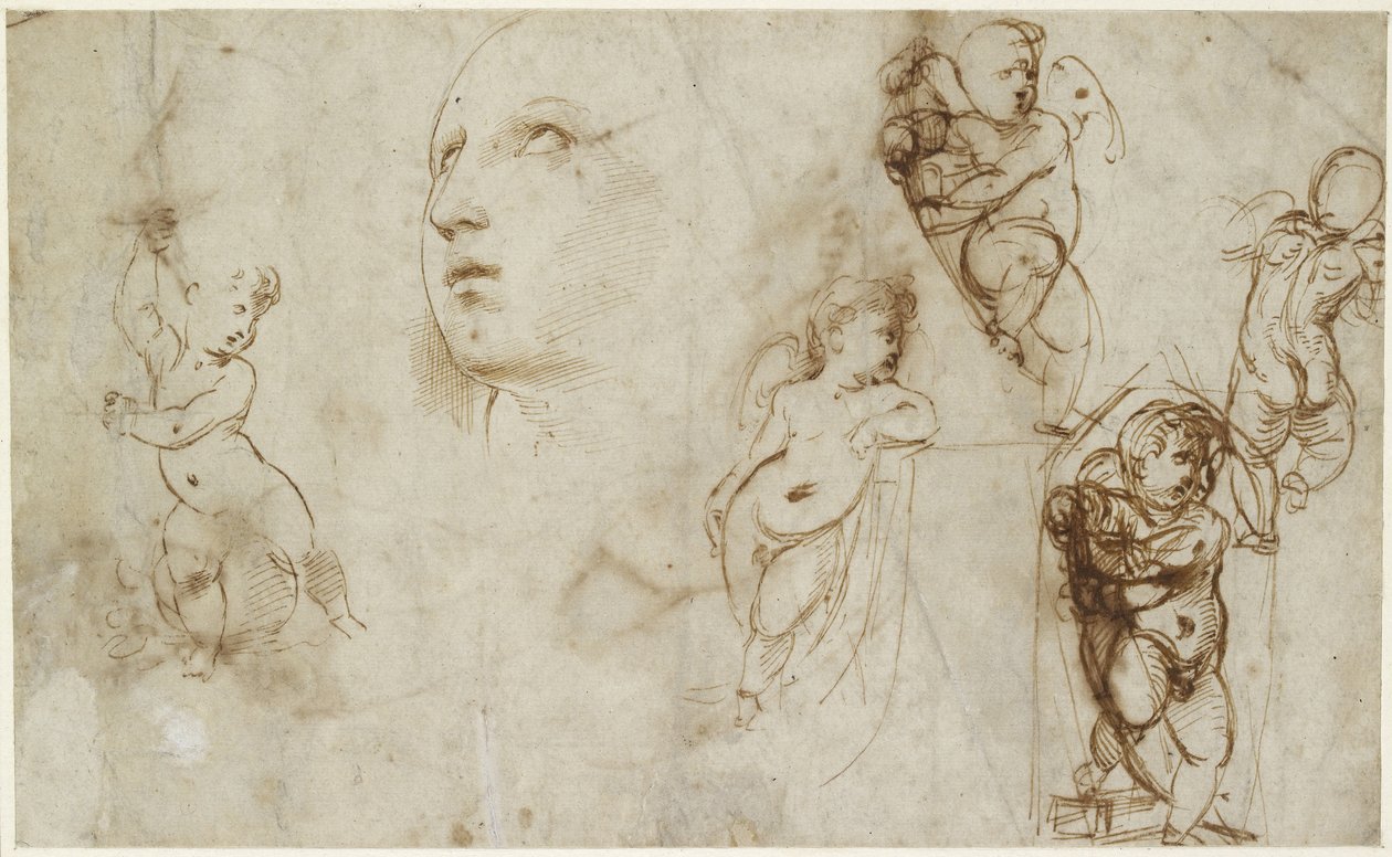 Una testa femminile per Borghese-Beckford Santa Caterina e vari putti, WA1846.177 da Raffaello Sanzio Raphael