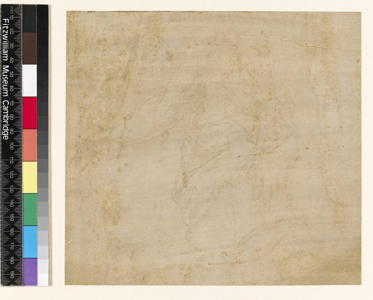 Foglio di studi: drappeggio con un braccio nudo e uno studio separato di un piede da Raffaello Sanzio Raphael