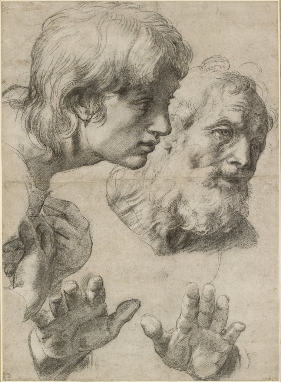 Studi delle teste di due apostoli e delle loro mani, WA1846.209 da Raffaello Sanzio Raphael