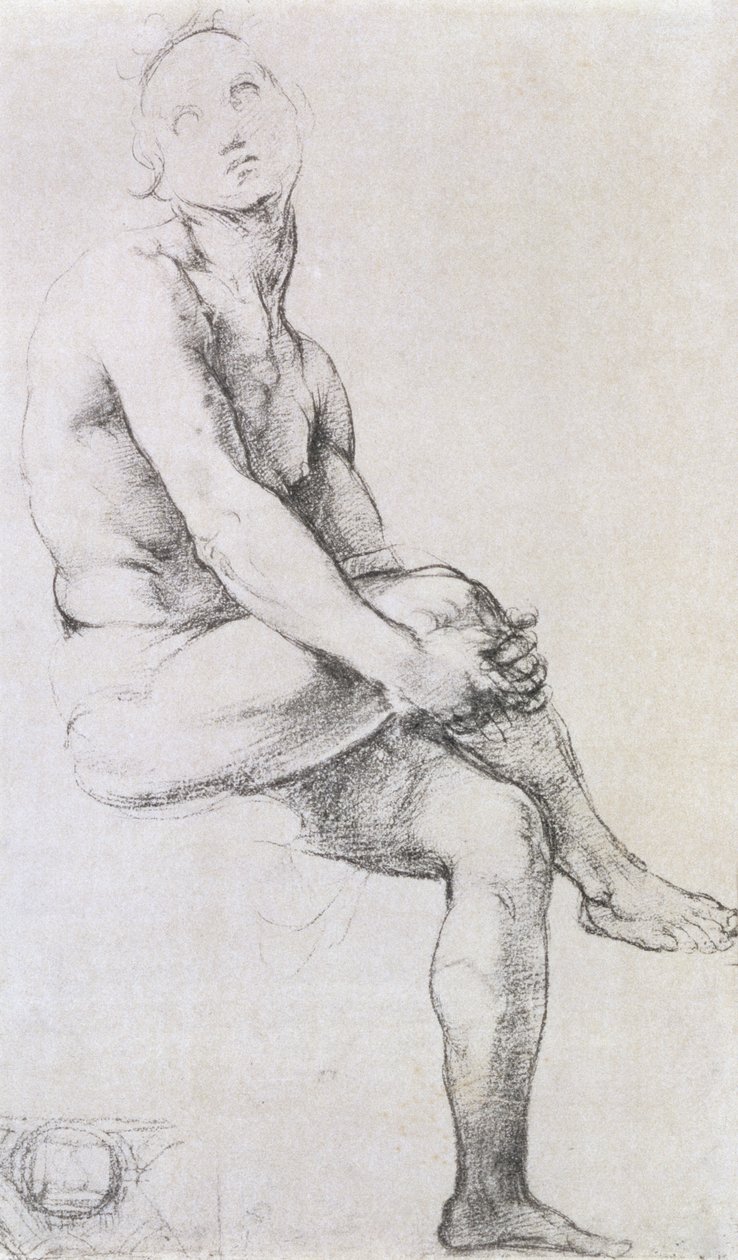 Studio di Adamo per la 