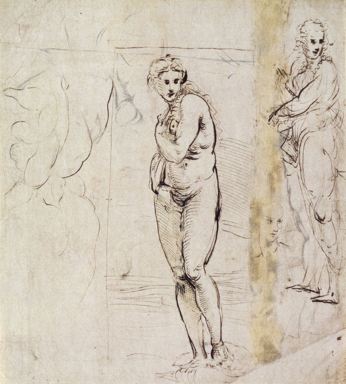 Studio di Venere da Raffaello Sanzio Raphael