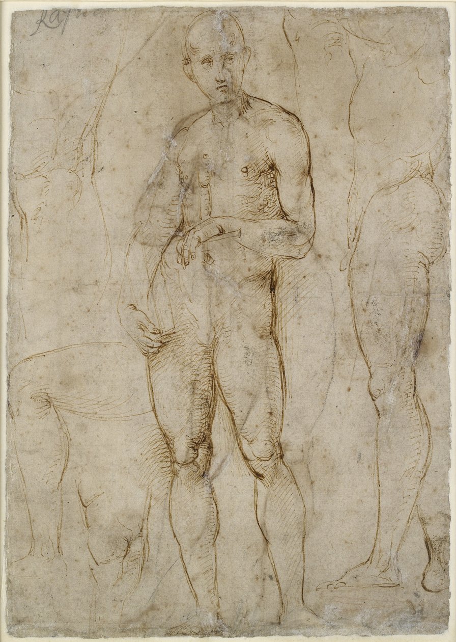 Verso: Studio di nudo per un San Paolo, WA1846.163 da Raffaello Sanzio Raphael