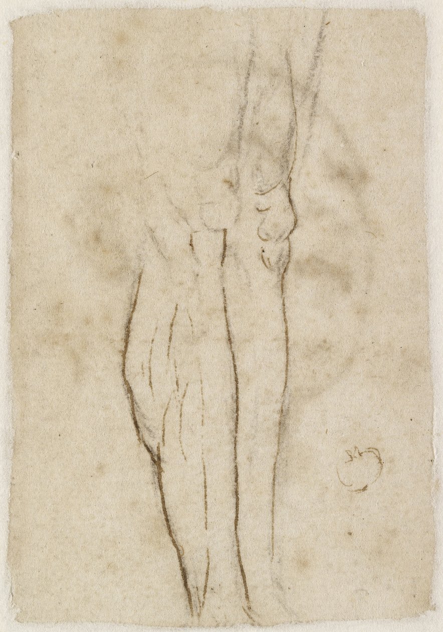Verso: Schizzo di un paio di gambe da Raffaello Sanzio Raphael