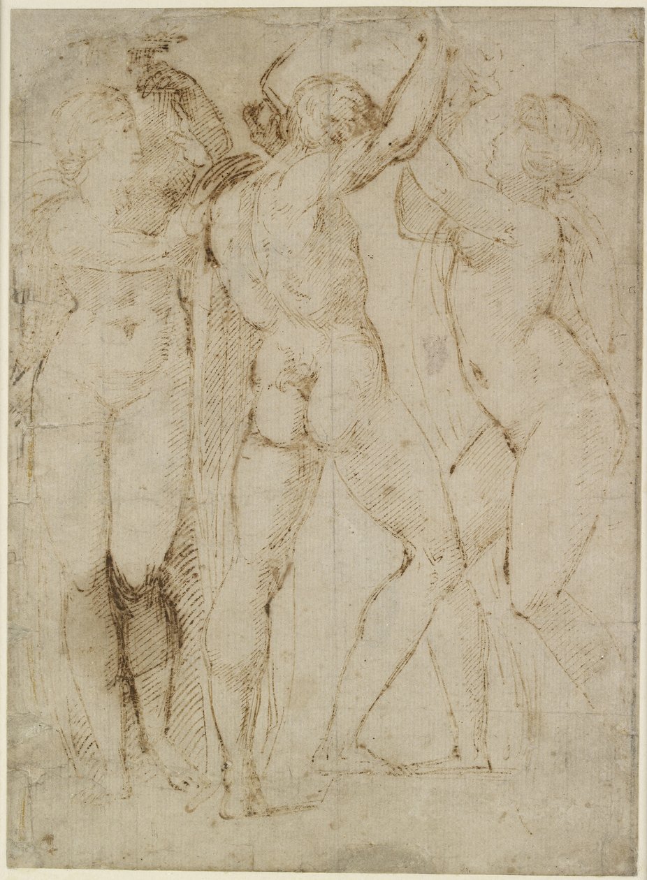 Gruppo di Vendemmiatori, WA1846.165 da Raffaello Sanzio Raphael