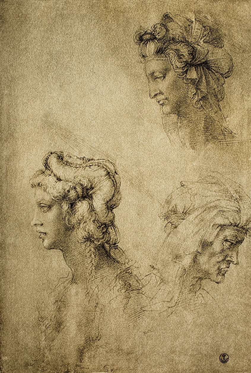Studio di teste femminili, disegno di Raffaello; Gabinetto dei Disegni e delle Stampe, Galleria degli Uffizi, Firenze da Raffaello Sanzio Raphael
