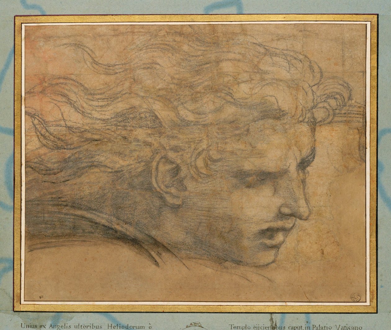 Testa di giovane uomo, di tre quarti verso destra ... da Raphael (1483-1520)