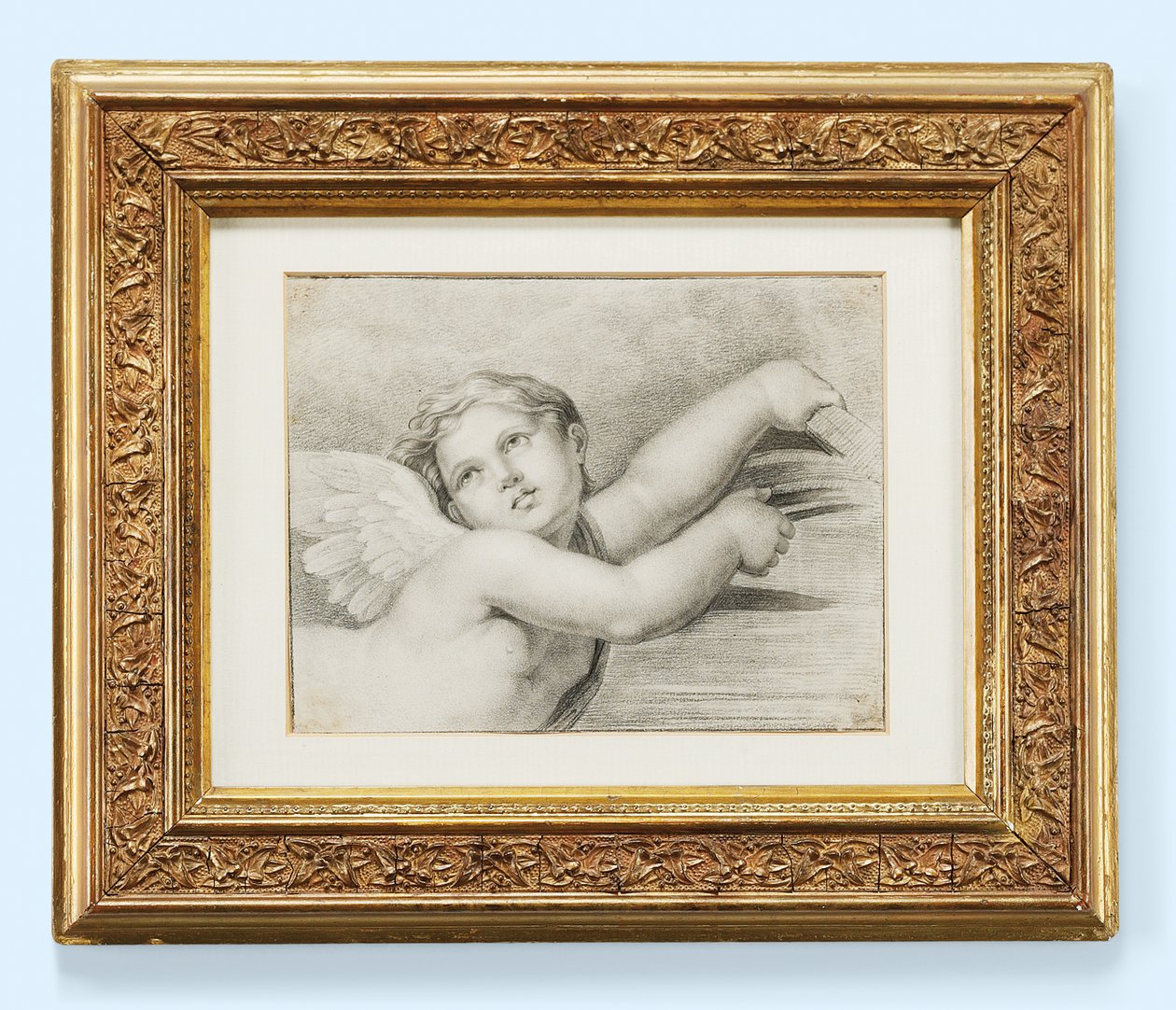 Testa di putto da after Raphael