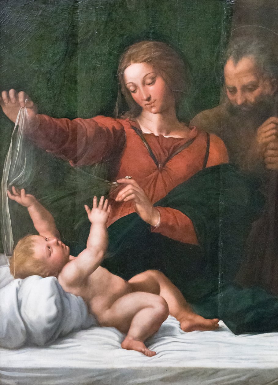 Sacra Famiglia, nota anche come Madonna del popolo, Madonna di Loreto o Madonna del velo da Raphael (1483 1520)