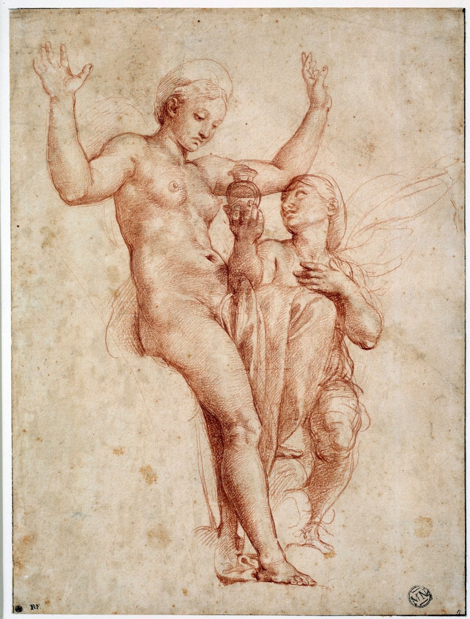 Psiche presenta a Venere l