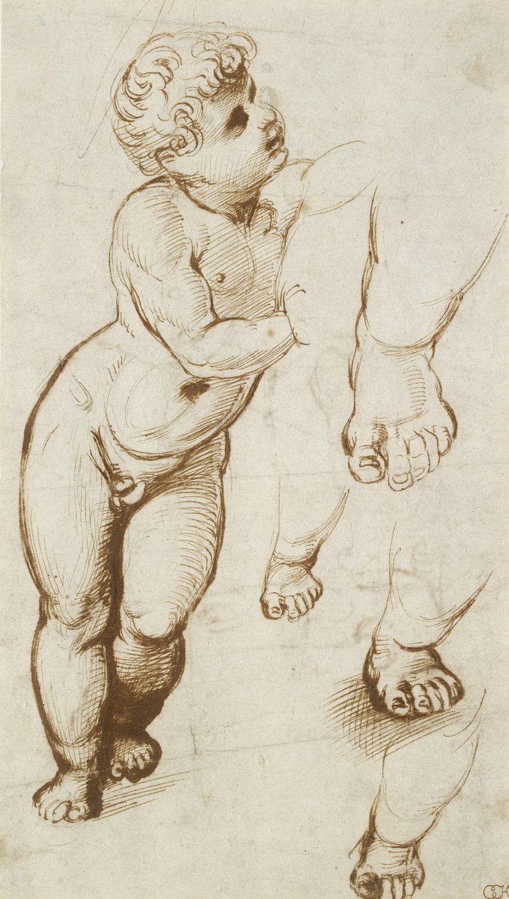 Il Bambino Gesù e altri Studi da Raphael