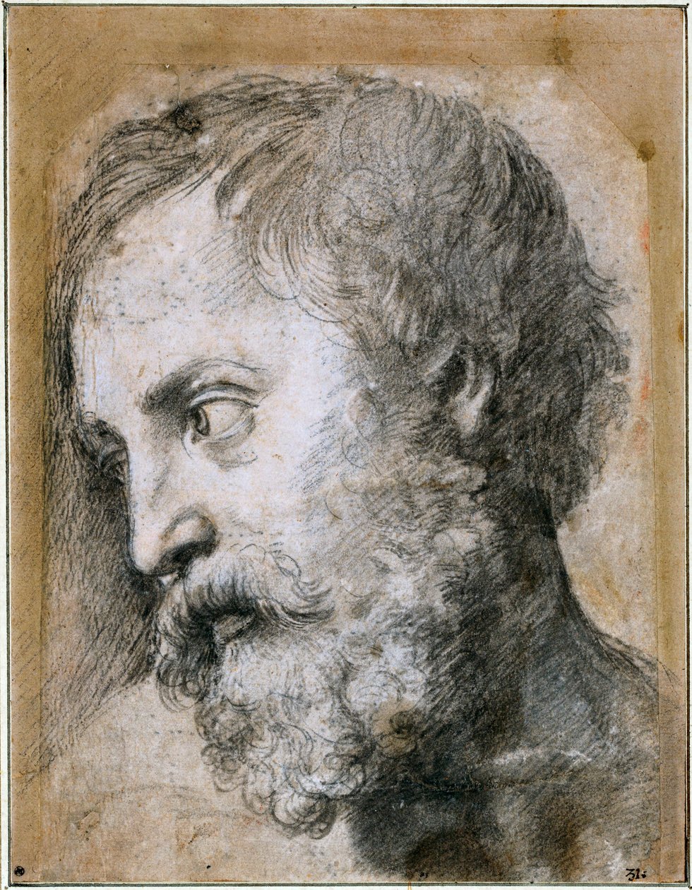 Testa di un Apostolo Studio per la Trasfigurazione da Raffaello Sanzio Raphael