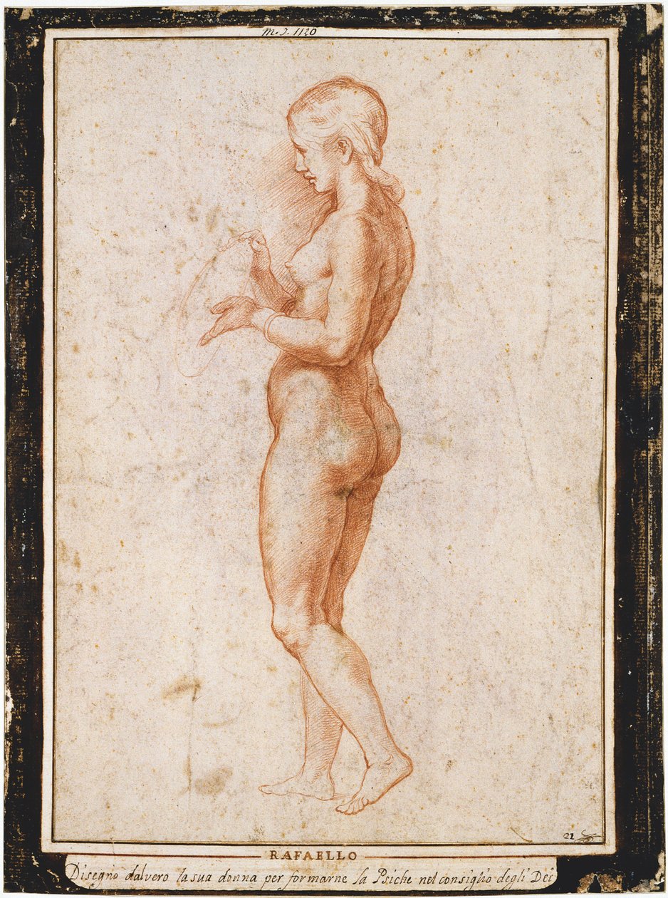 Giovane figura femminile di profilo, ca 1517 da Raphael