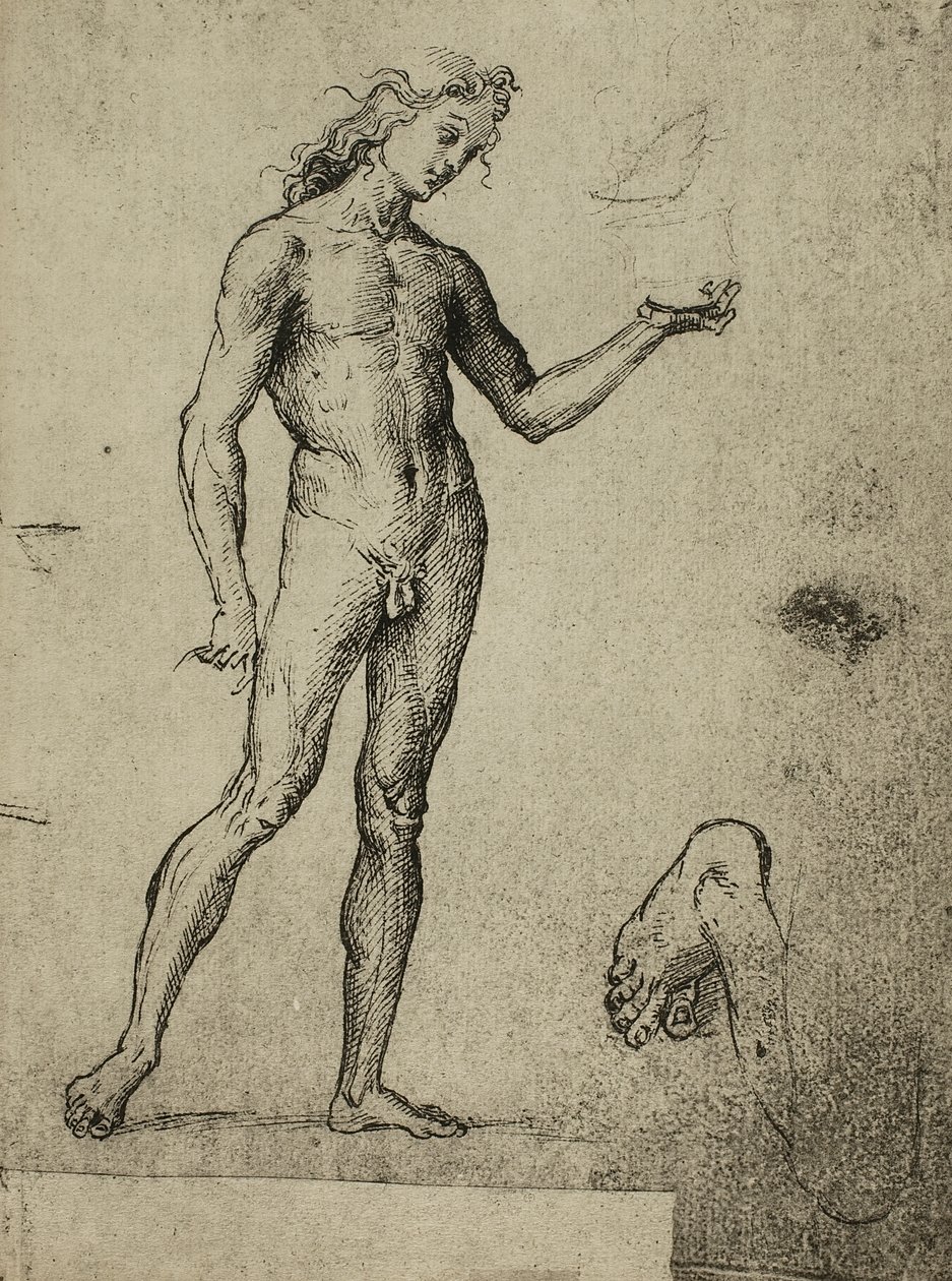 Studio di nudo maschile; disegno di Raffaello da Raffaello Sanzio Raphael