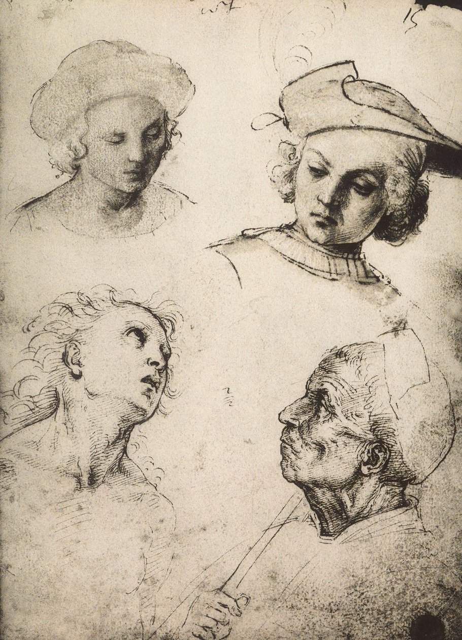 Studio di quattro volti maschili da Raffaello Sanzio Raphael