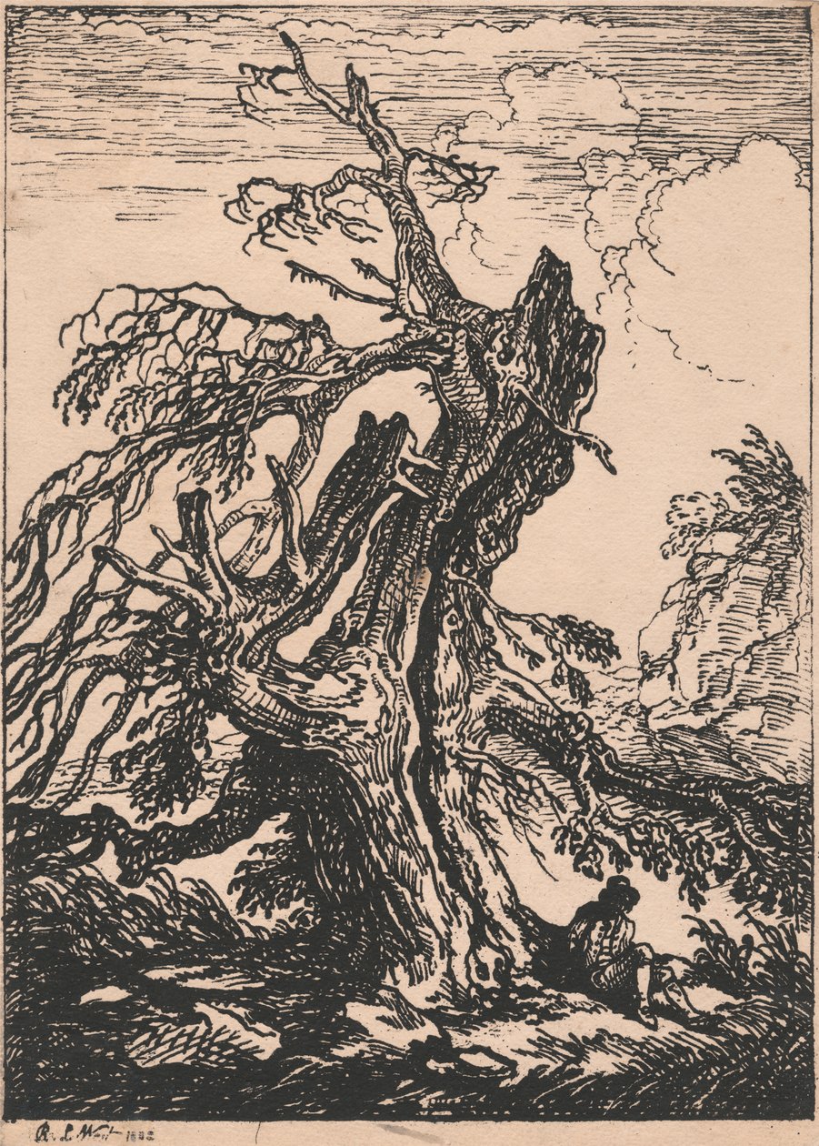 Studio di un Albero da Raphael Lamar West