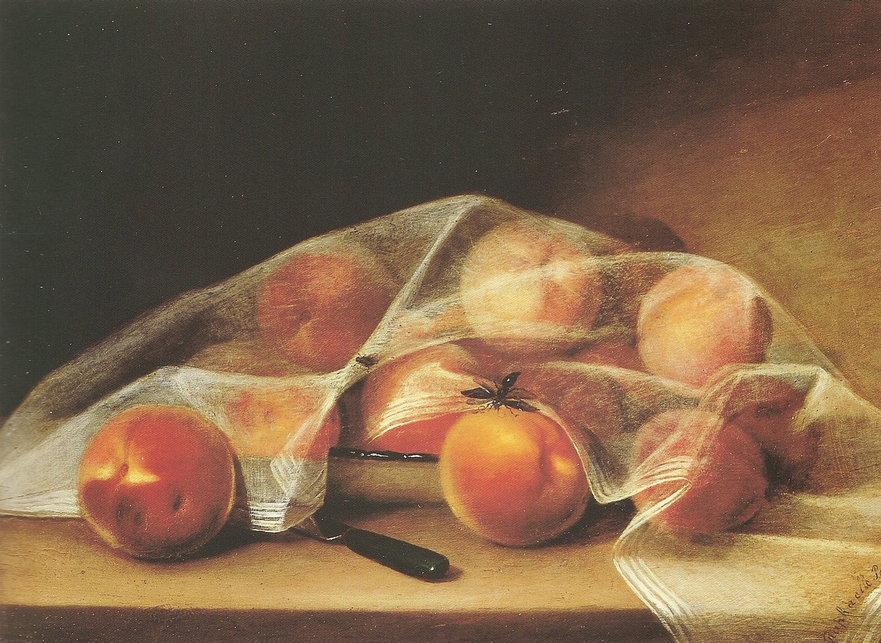 Pezzi di frutta con pesche coperte da un fazzoletto-raphaelle peale da Raphaelle Peale