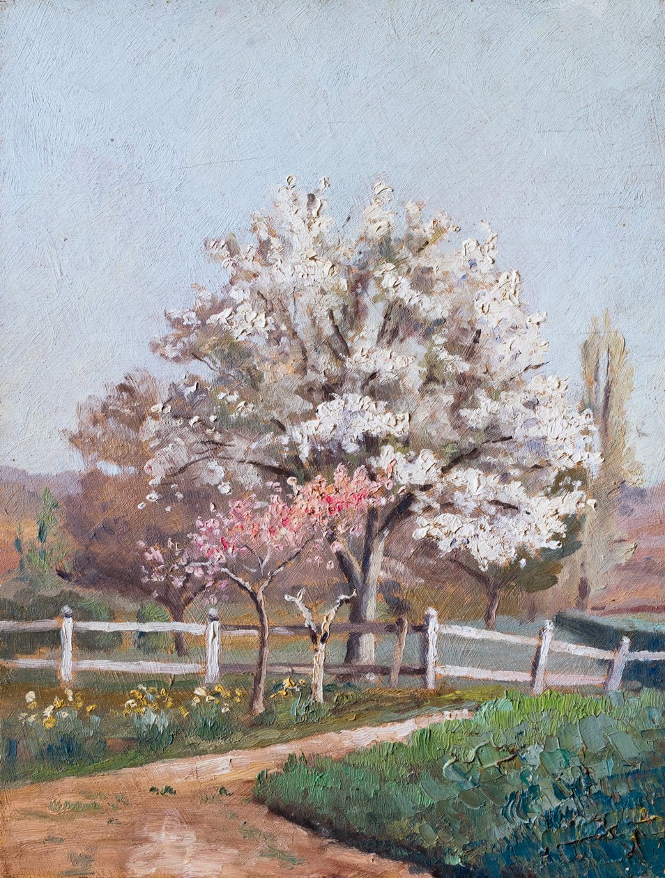 Fiori di ciliegio, 1930 circa (olio su tavola) da Raymond Bonnefon