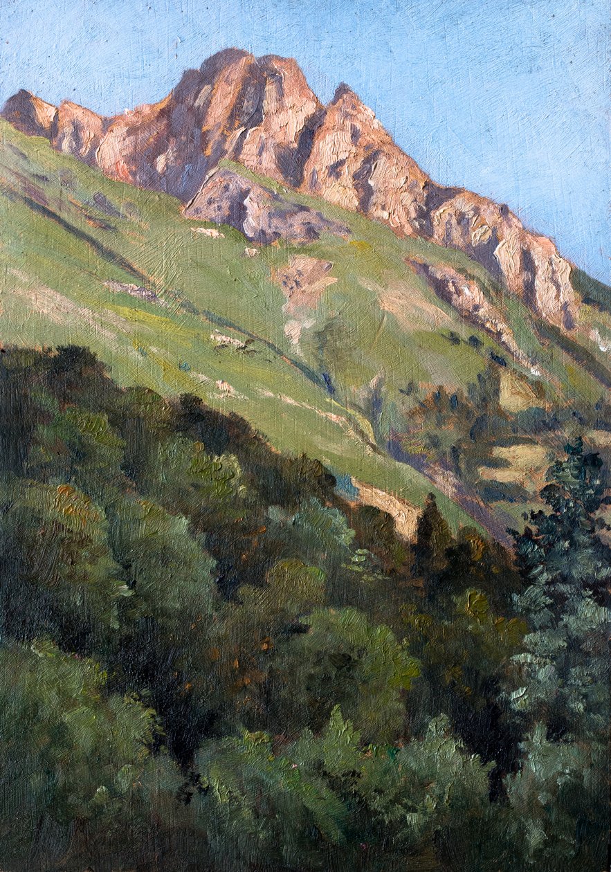 Paesaggio con montagna (olio su tavola) da Raymond Bonnefon
