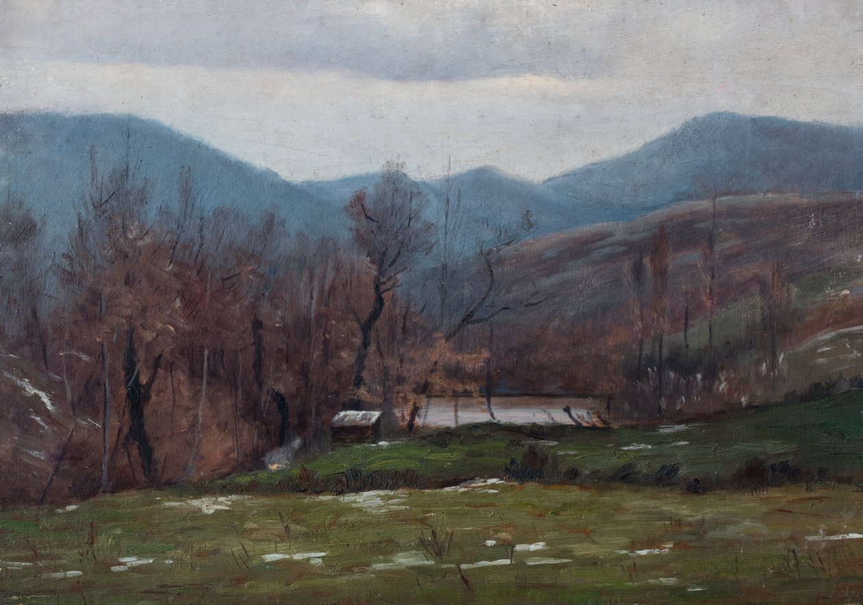 Paesaggio con stagno, marzo 1905 (olio su tavola) da Raymond Bonnefon