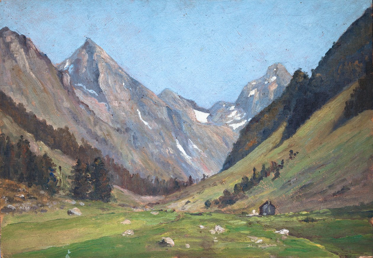 Paesaggio montano nei Pirenei (olio su tavola) da Raymond Bonnefon