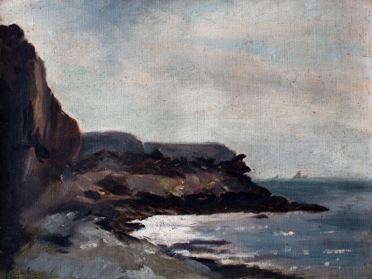 Mare con scogliera (olio su tela) da Raymond Bonnefon