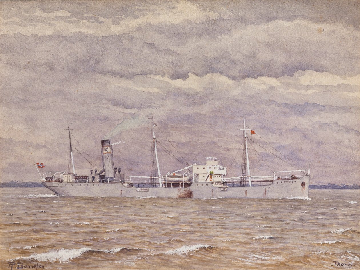 La nave da carico norvegese Thoroy nell