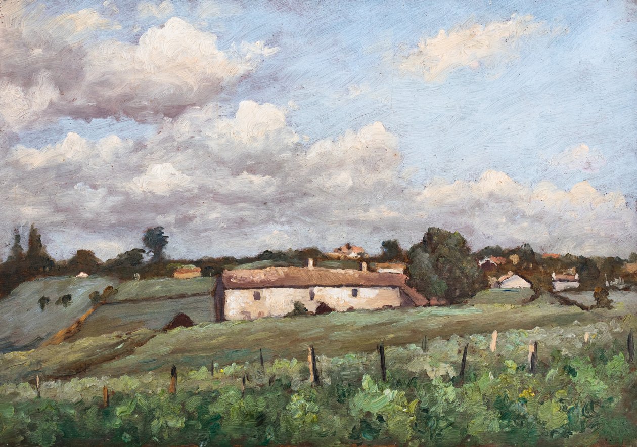 Vigneti (Côtes de Bourg) a Bayon (olio su tavola) da Raymond Bonnefon