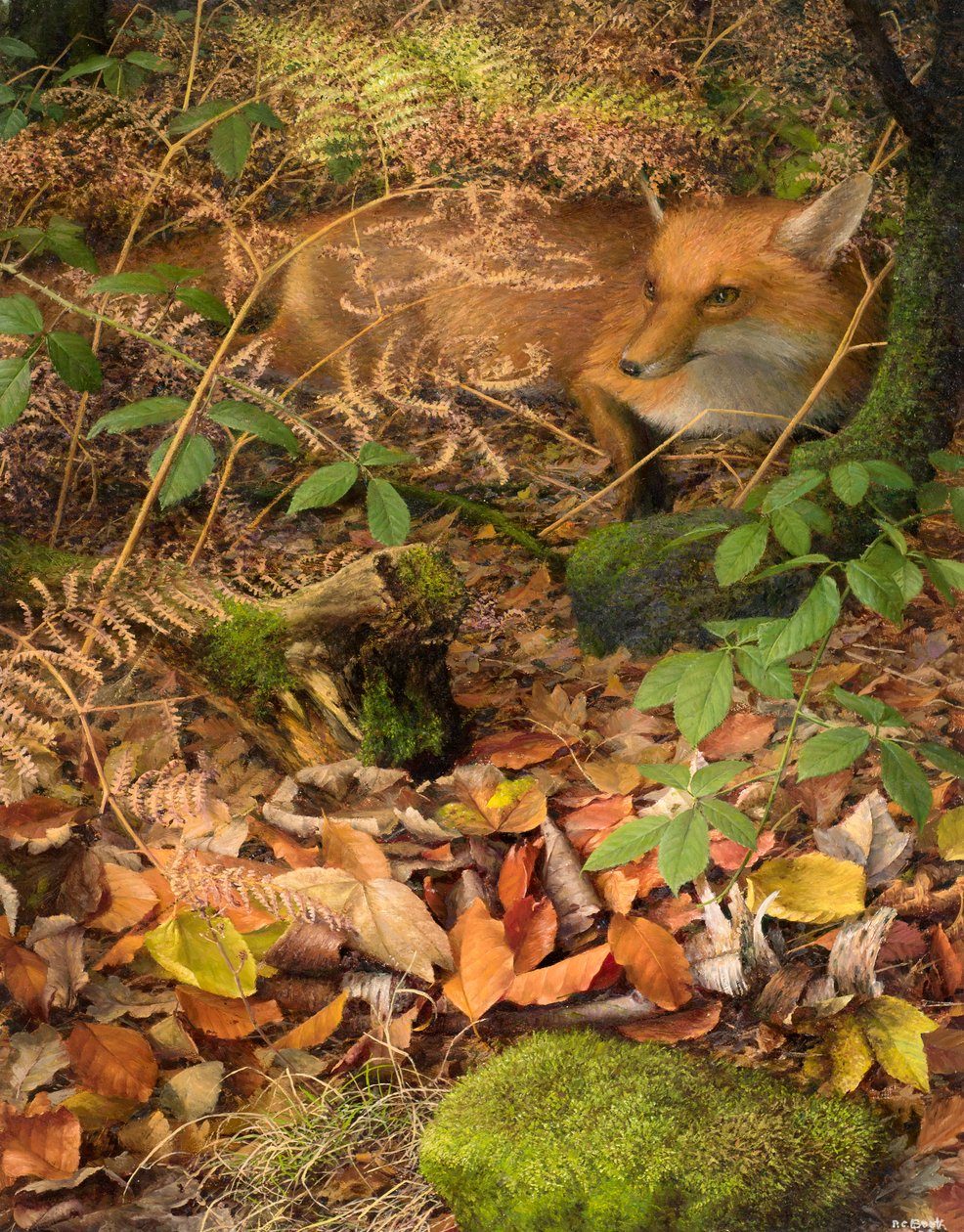 Autunno: una volpe riposa tra le foglie cadute, 2005 (olio su tavola) da Raymond Booth