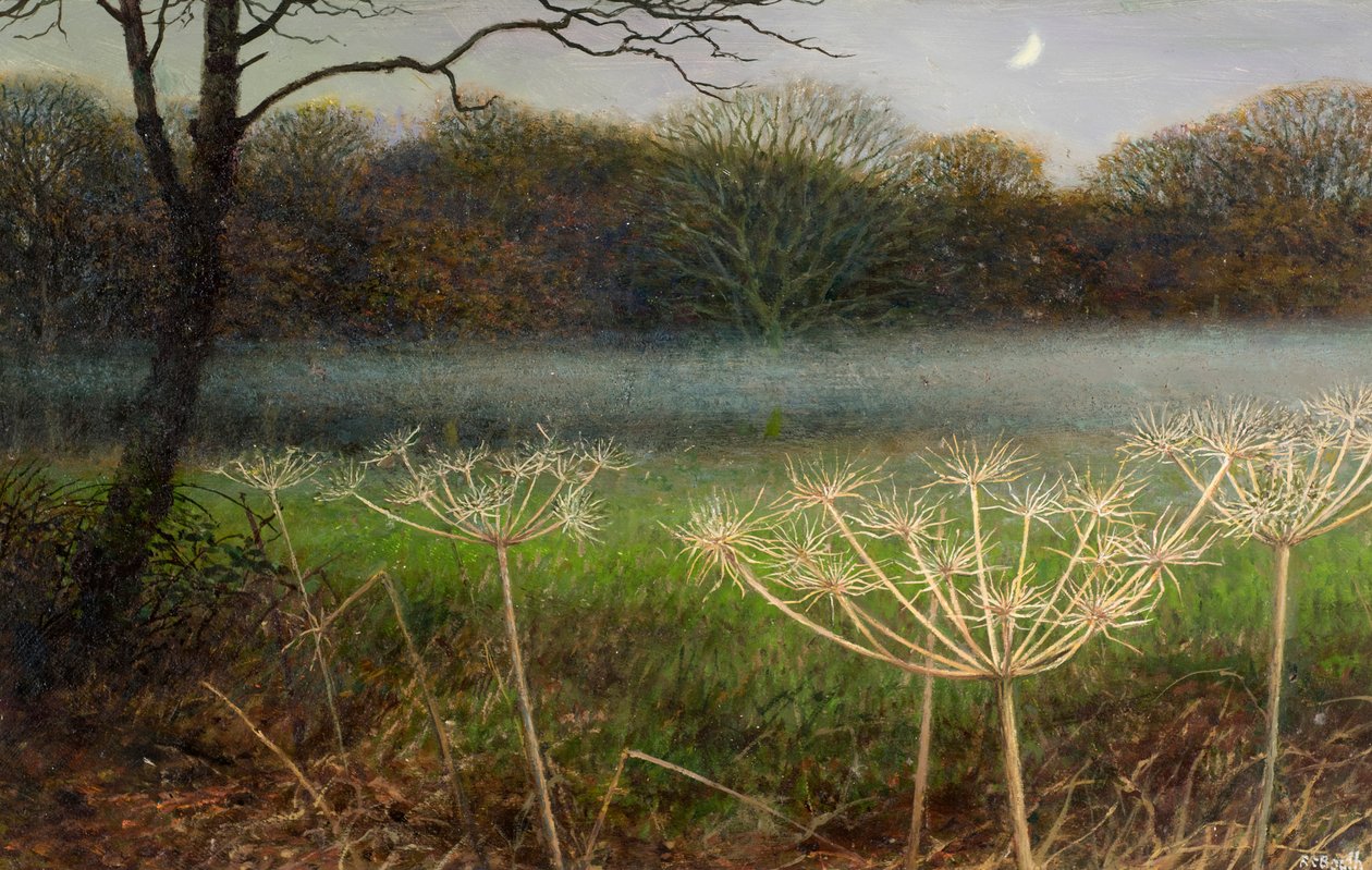 Dicembre al tramonto: nebbia sui campi (olio su tavola) da Raymond Booth