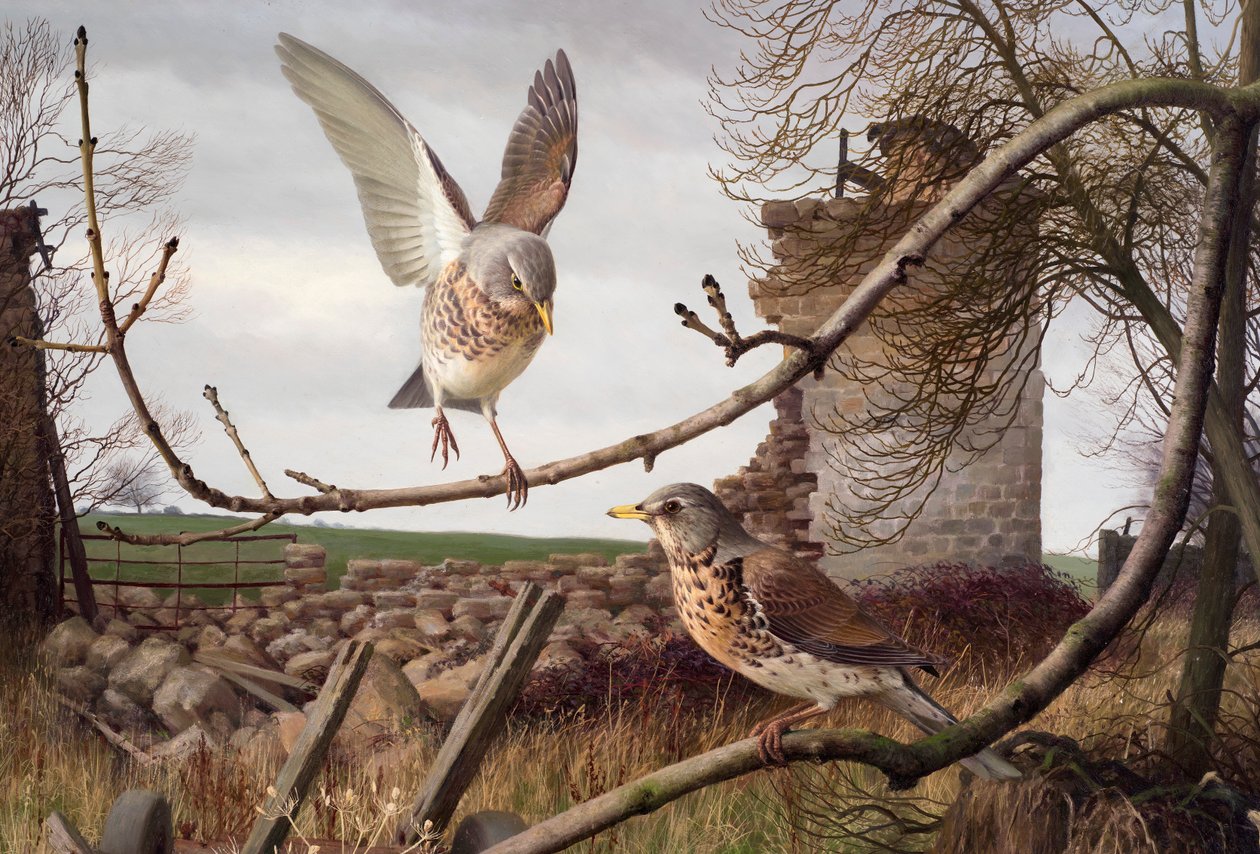 Voli di campo a Eccup, West Yorkshire da Raymond Booth