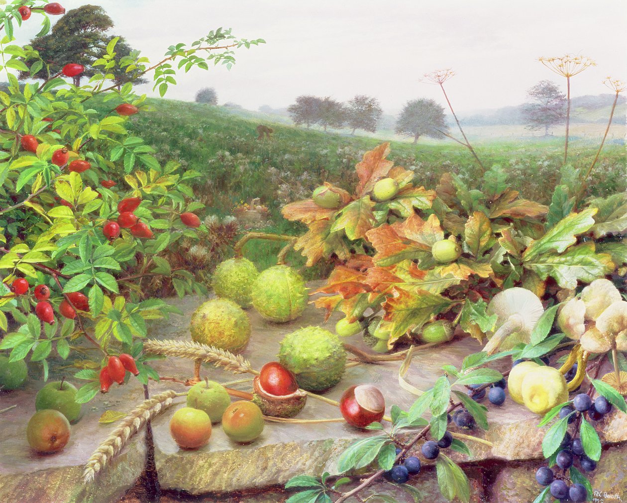 Raccogliere il raccolto selvatico da Raymond Booth