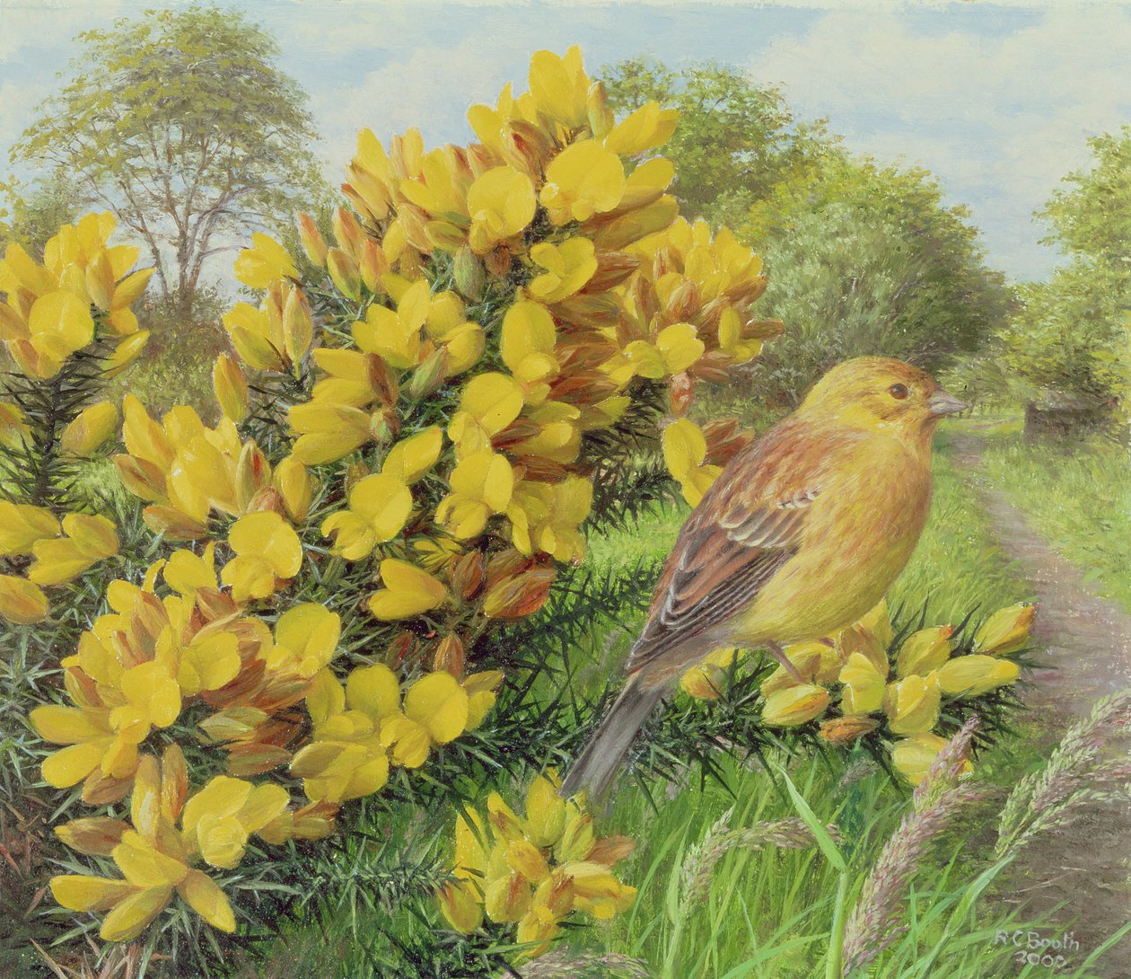 Ginestra e martello giallo, 2000 (olio su tavola) da Raymond Booth