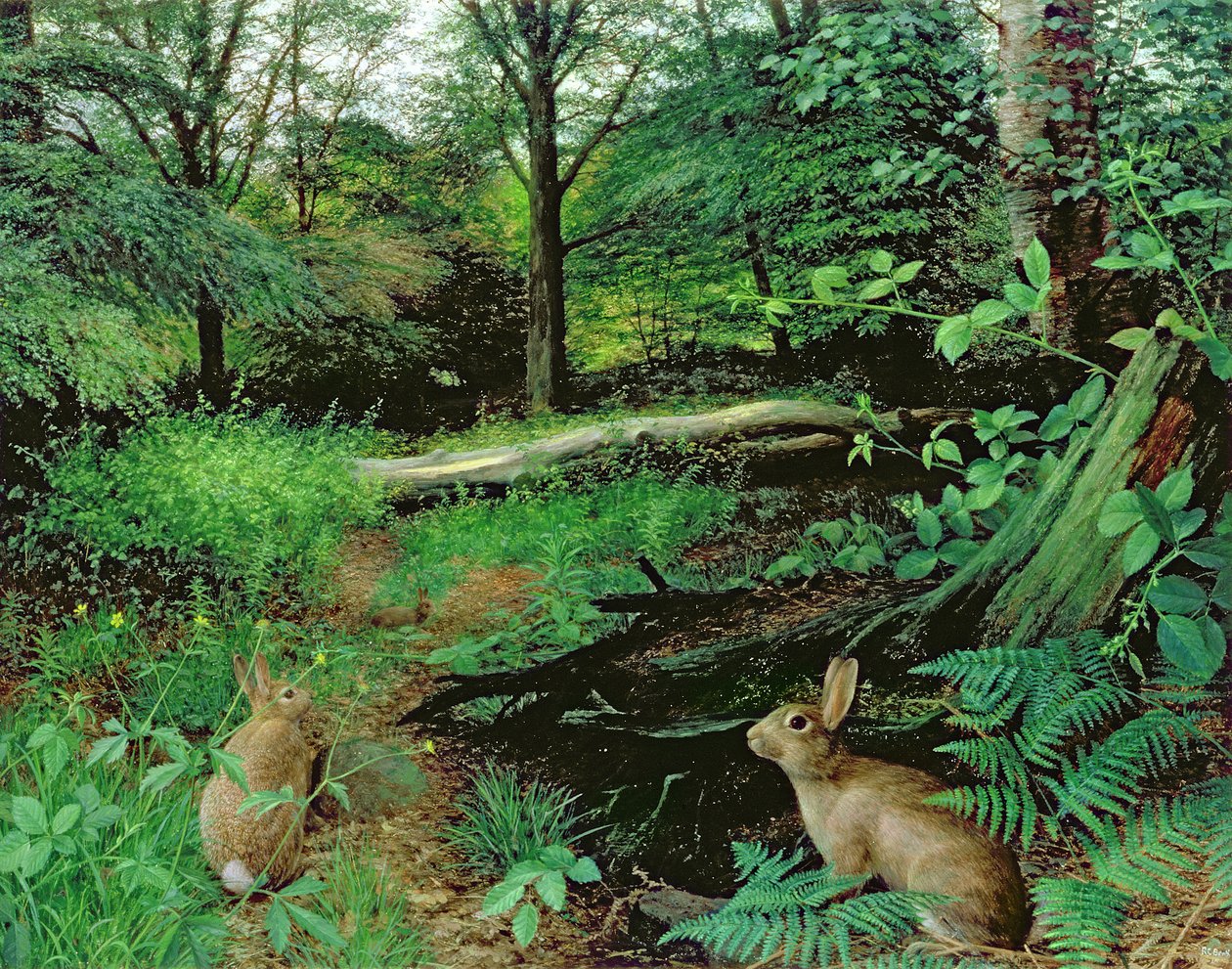 Nel bosco - Una sera di mezza estate (olio su tavola) da Raymond Booth