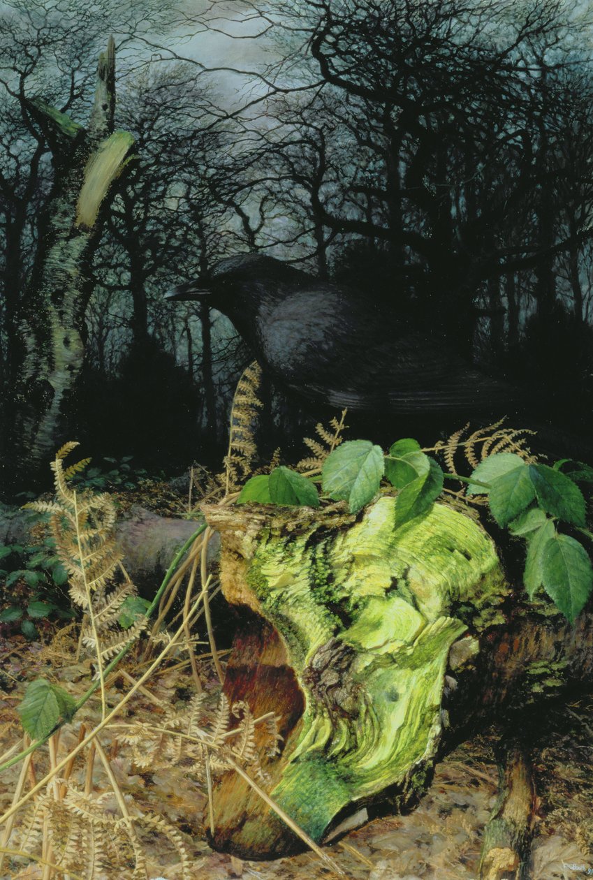 Inverno nel bosco da Raymond Booth
