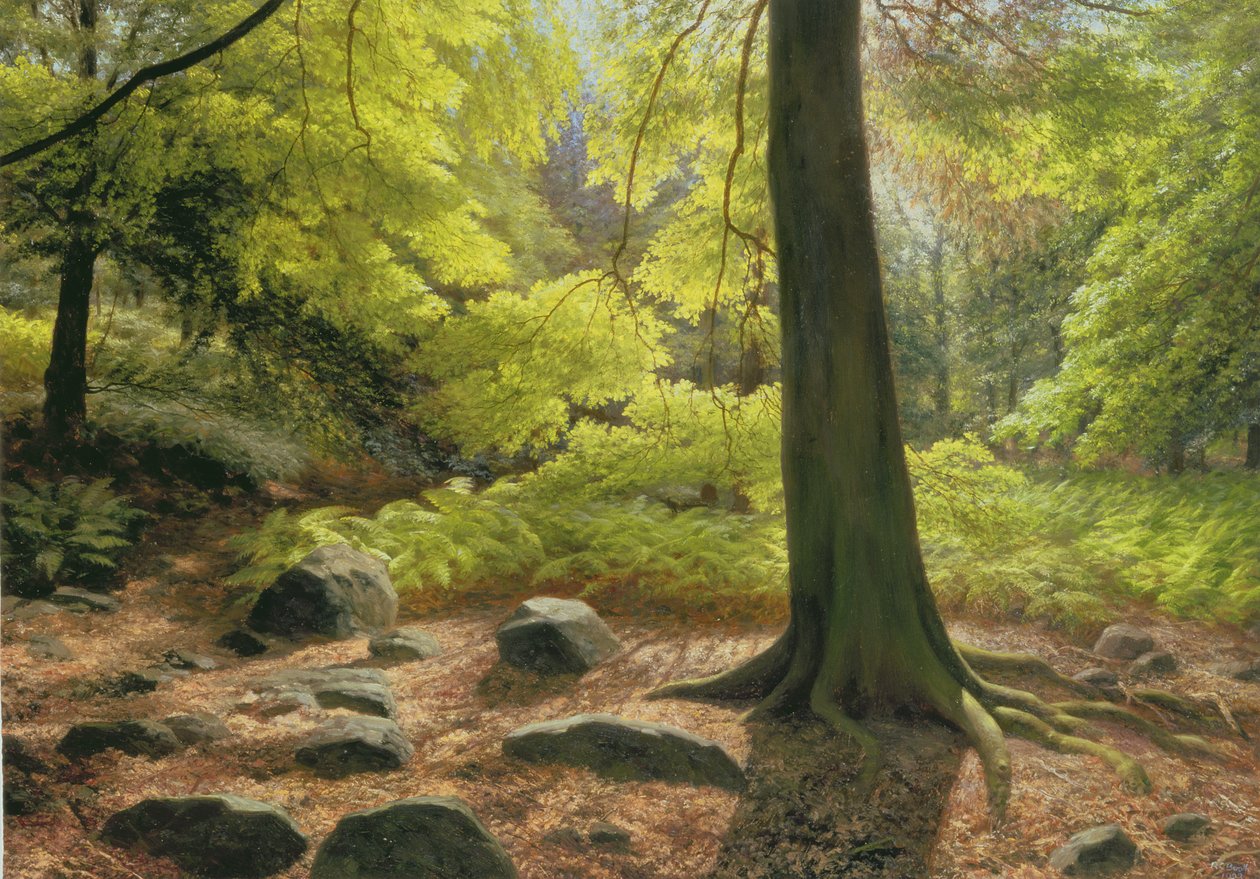Il sole di primavera nel bosco di Adel da Raymond Booth