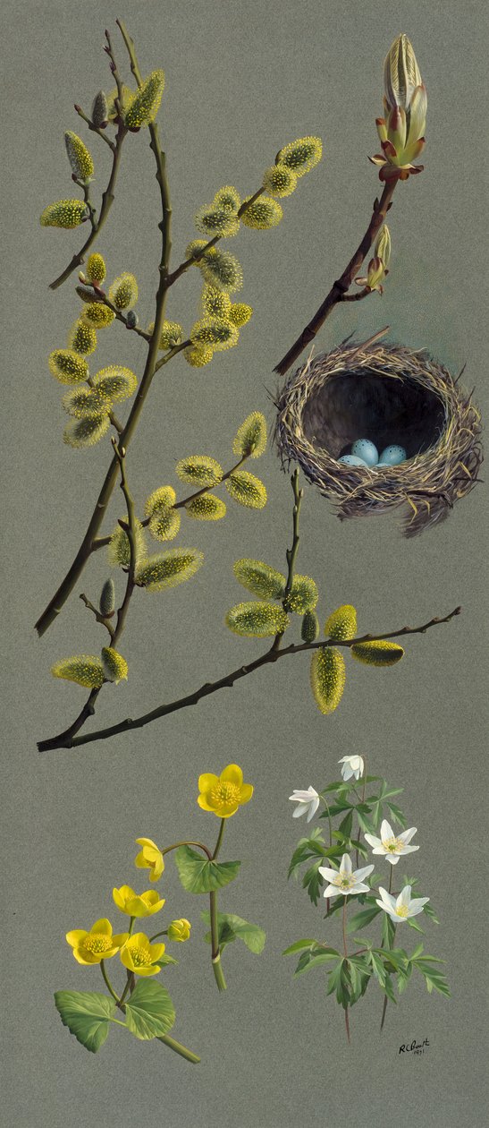 Studi di primavera (olio su carta) da Raymond Booth