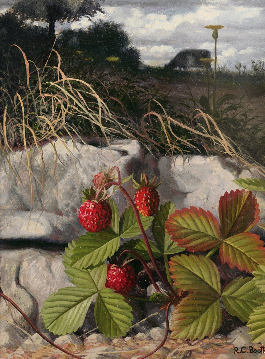 Fragole (olio su pannello) da Raymond Booth