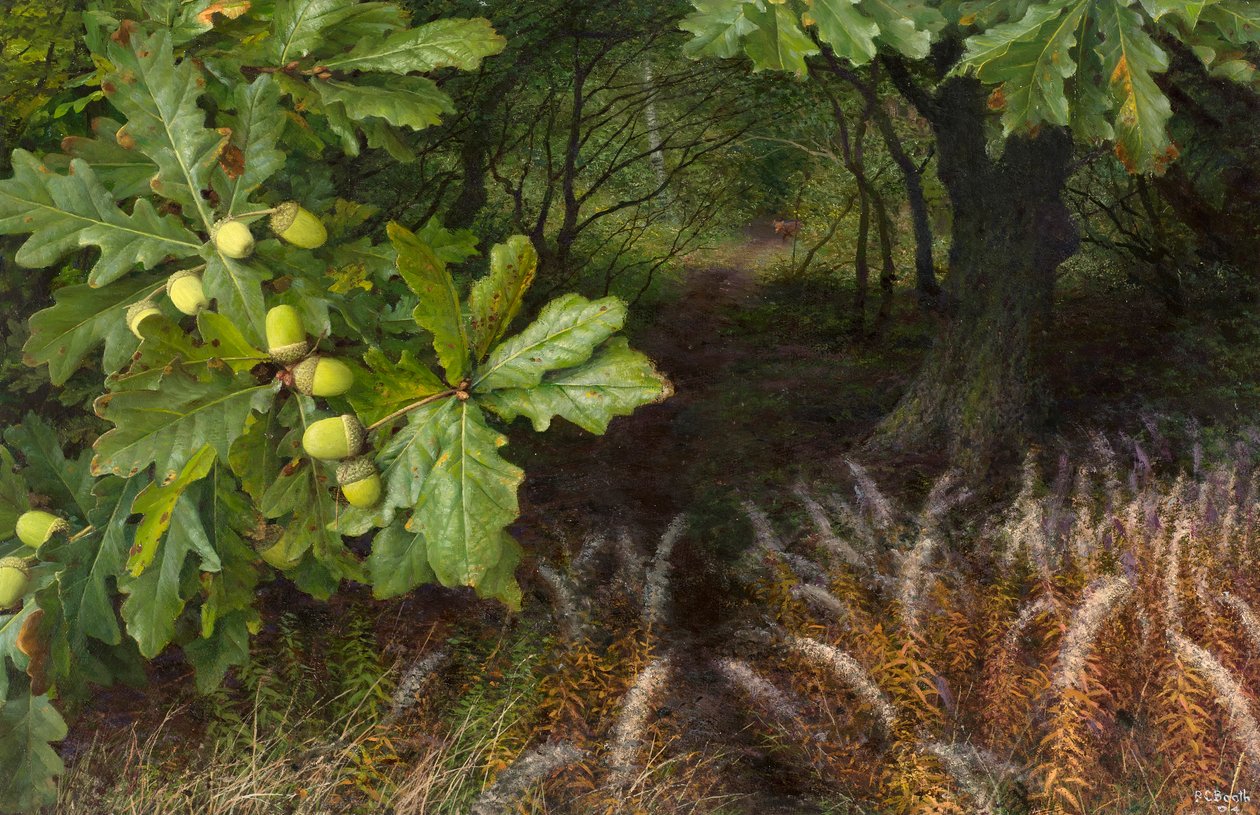 La via del bosco (olio su tavola) da Raymond Booth