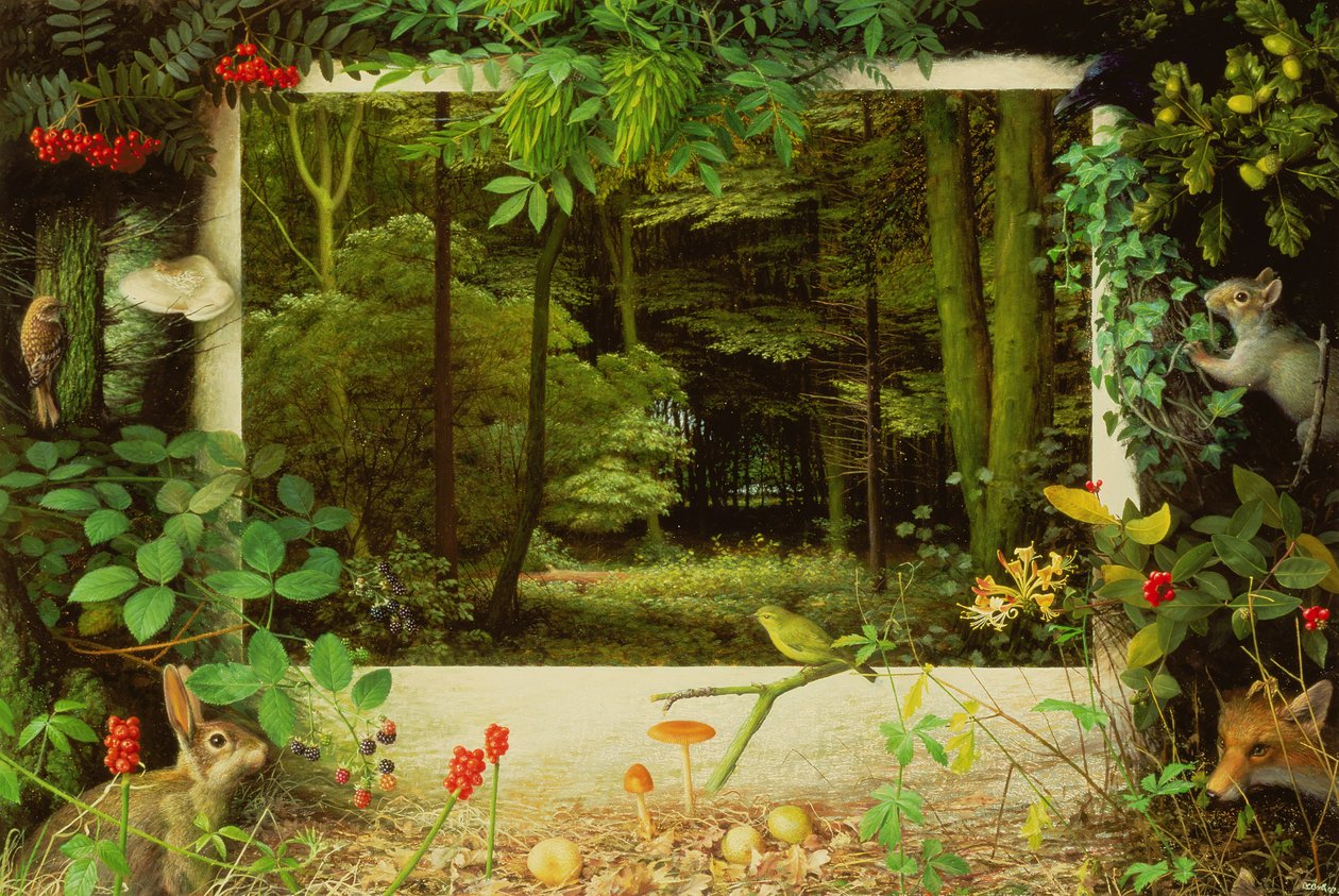 rhe Ingresso al bosco da Raymond Booth