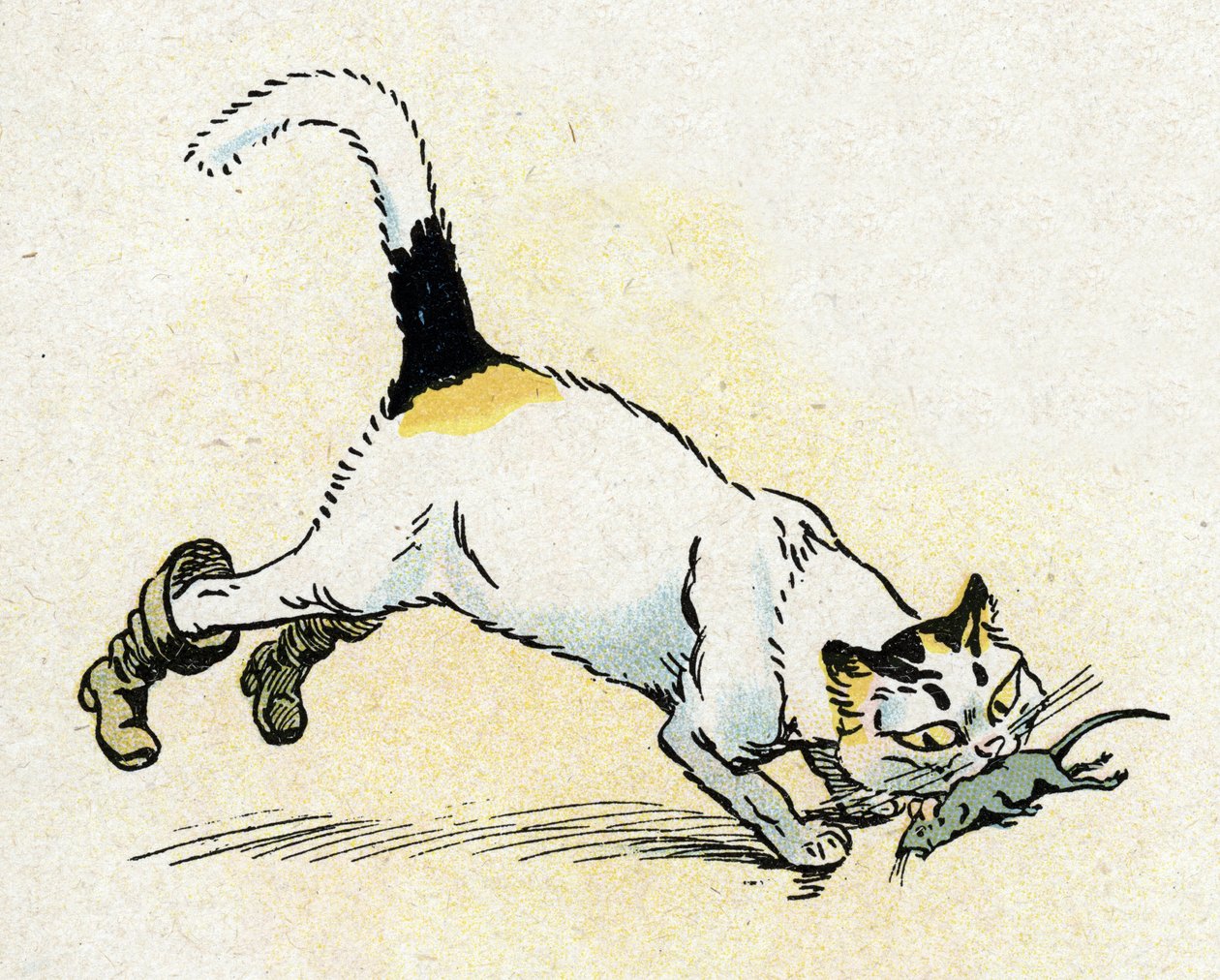 "Le Chat Botté" illustrazione per le Fiabe di Charles Perrault da Raymond de la Neziere