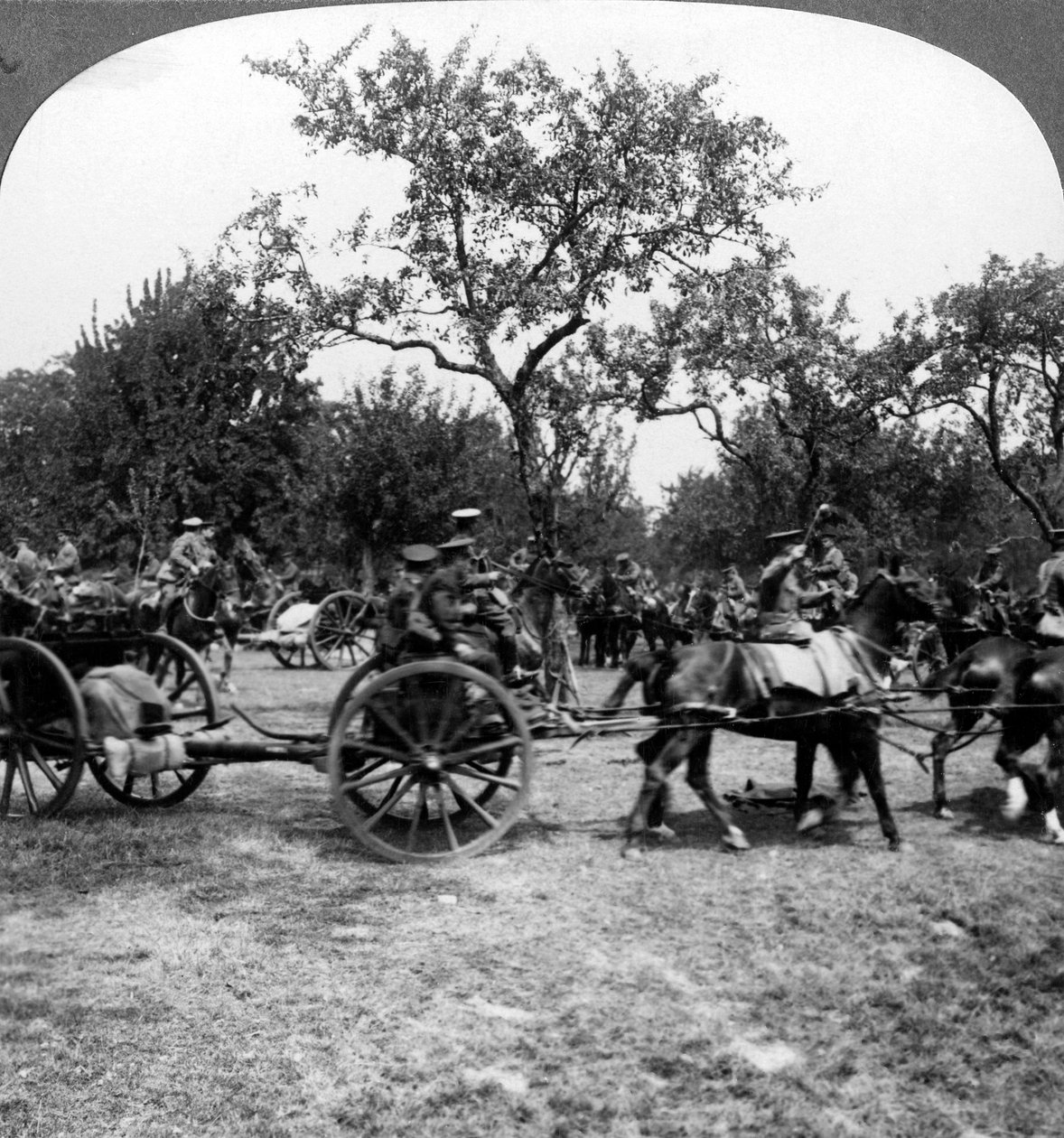 Artiglieria trainata da cavalli, Prima Guerra Mondiale da Realistic Travels Publishers