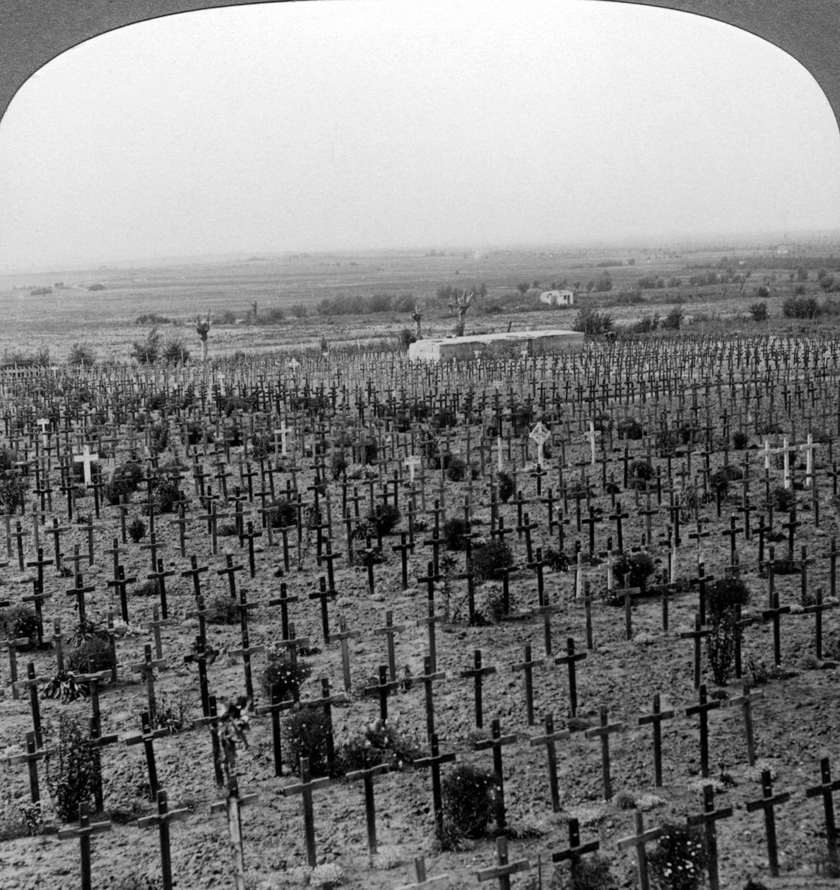 Cimitero di Tyne Cot, Passchendaele Ridge, Belgio, Prima Guerra Mondiale, c1918-1919 da Realistic Travels Publishers