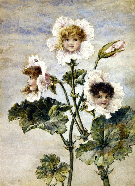 Geranio e Pisello odoroso - Bambini dei fiori - un paio da Rebecca Coleman