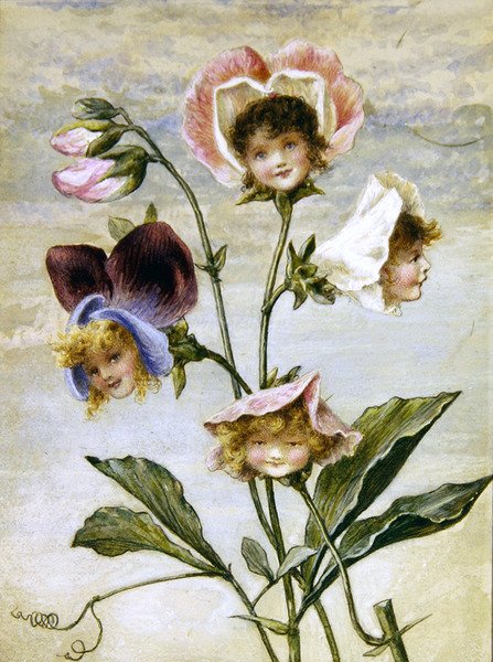 Geranio e Pisello Odoroso - Bambini dei Fiori - una coppia da Rebecca Coleman