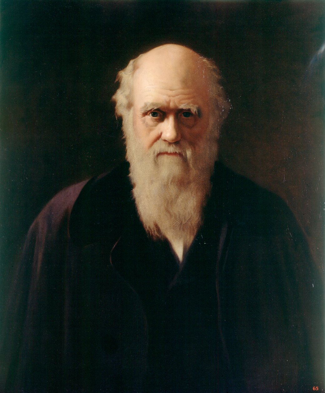 Charles Darwin | Reilly Reilly | Stampa d'arte