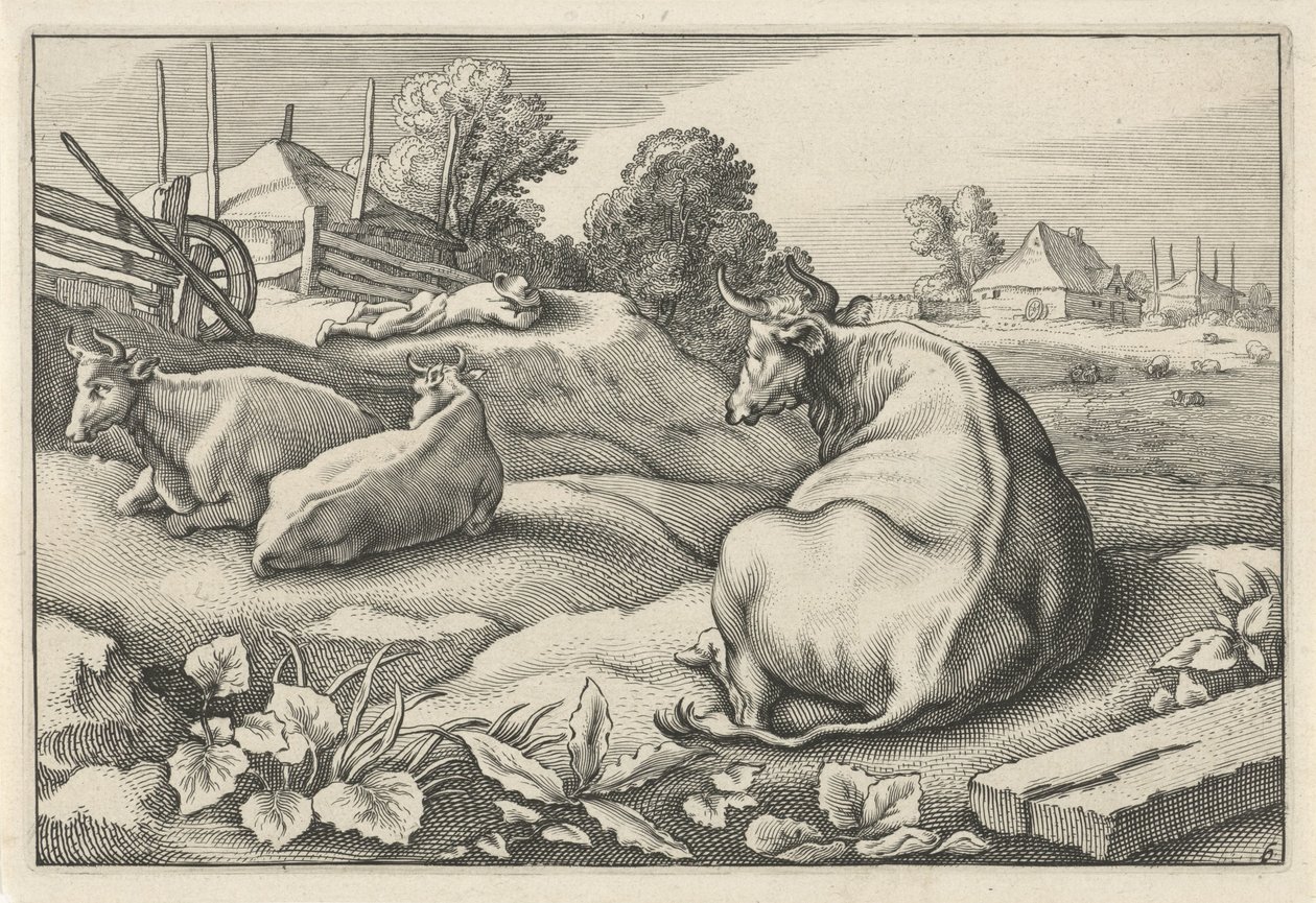 Prato con tre mucche sdraiate da Reinier van Persijn