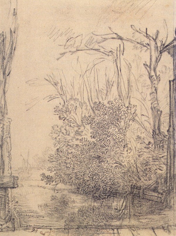 Cespugli sporgenti su un fossato da Rembrandt van Rijn