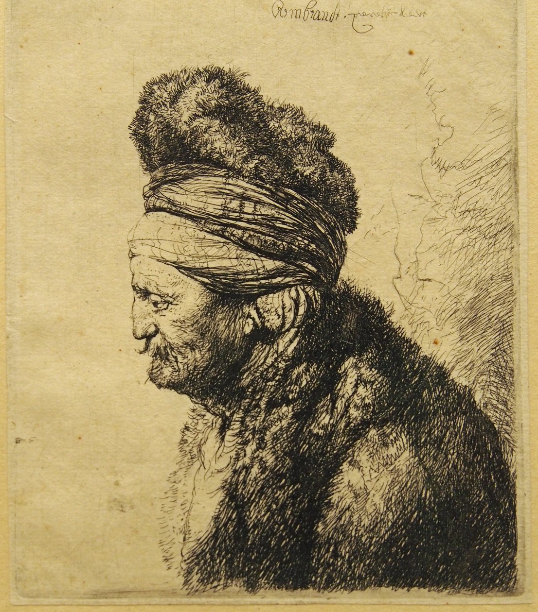 La Seconda Testa Orientale da Rembrandt van Rijn