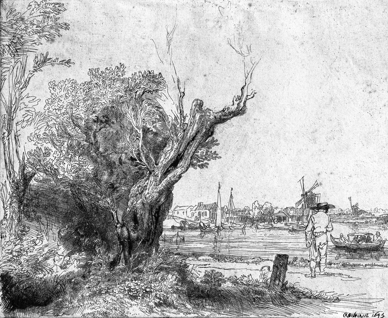 Veduta di Omval, vicino ad Amsterdam, 1645 da Rembrandt van Rijn